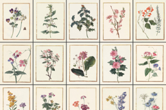 20 Vintage French Botanical Prints Gold Framed Gilded Product Image 2