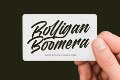 Madena Vintage Bold Script Font Product Image 2