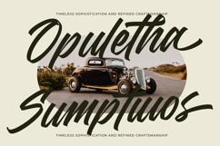 Madena Vintage Bold Script Font Product Image 8