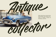 Madena Vintage Bold Script Font Product Image 10