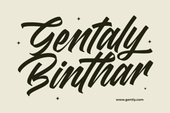 Madena Vintage Bold Script Font Product Image 13