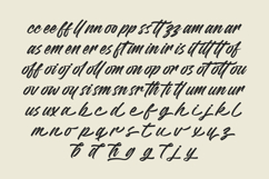 Madena Vintage Bold Script Font Product Image 16