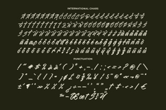 Madena Vintage Bold Script Font Product Image 17