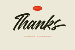 Madena Vintage Bold Script Font Product Image 20