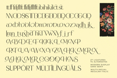 Madgio - Modern Display Sans Serif Product Image 19