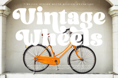 Madnight Honeys - Modern Retro Serif Product Image 4