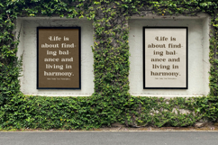 Madrid &amp; Birch - Modern Alternate Serif Product Image 16