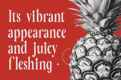 Mafian - Tall Serif Display Product Image 9