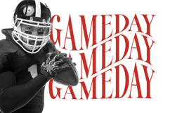 Mafian - Tall Serif Display Product Image 12