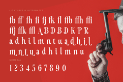 Mafian - Tall Serif Display Product Image 18