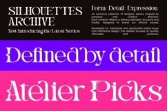 Magdes Modern Display Serif Font Product Image 6