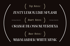 Magdes Modern Display Serif Font Product Image 12