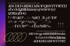Magdes Modern Display Serif Font Product Image 14