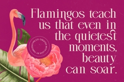 Magenta Rosalia - Tall Serif Display Font Product Image 15