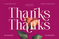 Magenta Rosalia - Tall Serif Display Font Product Image 20