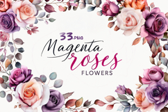 Magenta roses flowers Product Image 1