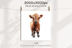 Magic Cute Baby Highland Cow in Dress Hat Watercolor Clipart PNG Transparent Print for invitation t-shirt designs sublimation kids printable digital watercolor baby cow in dress png, highland cow clipart, jumping cow in hat jpeg sublimation clip art