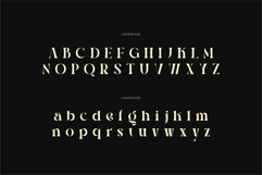 Magic Delight - Alternative Serif Font Product Image 8