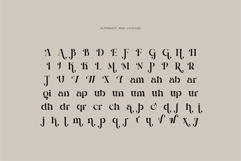 Magic Delight - Alternative Serif Font Product Image 9