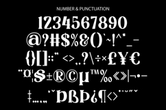 Magic Love Elegant Serif Font Product Image 10