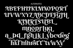 Magic Love Elegant Serif Font Product Image 11