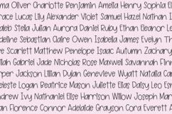 Magic Rose Sans Product Image 6