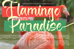 Magic Soft - Bold Handwritten Font Product Image 12