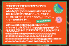 Magic Target Retro Serif Display Product Image 14