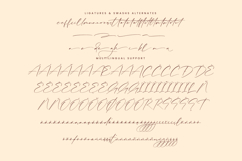 Magical Delight Product Image 4