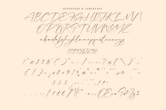 Magical Delight Product Image 8