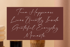 Magical Delight Product Image 10