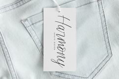 Magicals Billery - Modern Calligraphy Font Product Image 12