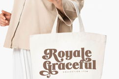 Magicals Royale - Modern Vintage Font Product Image 3