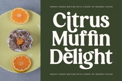 Magics Flavor - Modern Retro Serif Product Image 5