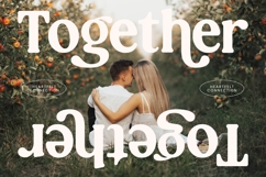 Magics Flavor - Modern Retro Serif Product Image 13