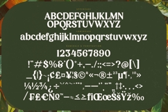 Magics Flavor - Modern Retro Serif Product Image 18