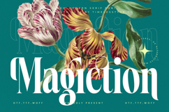 Magiction - New Modern Serif Font Product Image 1