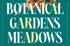 Magiction - New Modern Serif Font Product Image 7