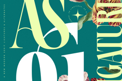 Magiction - New Modern Serif Font Product Image 9