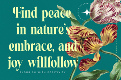 Magiction - New Modern Serif Font Product Image 11