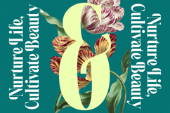 Magiction - New Modern Serif Font Product Image 13