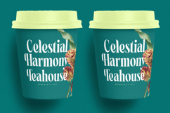 Magiction - New Modern Serif Font Product Image 15