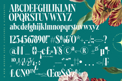 Magiction - New Modern Serif Font Product Image 18