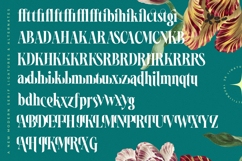 Magiction - New Modern Serif Font Product Image 19