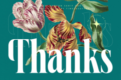 Magiction - New Modern Serif Font Product Image 20