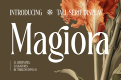 Magiora Tall Serif Display Product Image 1