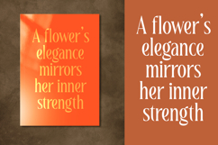 Magiora Tall Serif Display Product Image 6