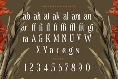 Magiora Tall Serif Display Product Image 18