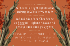 Magiora Tall Serif Display Product Image 19