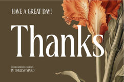 Magiora Tall Serif Display Product Image 20